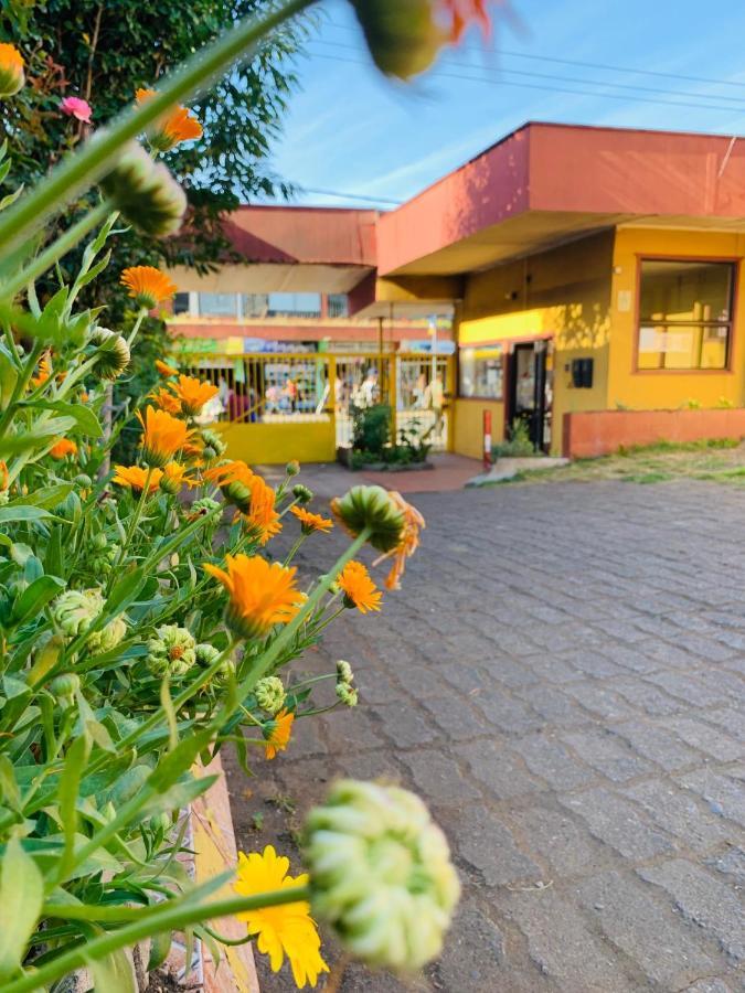 Hospedaje オソルノ エクステリア 写真